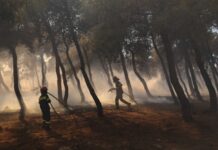 Interamerican και Anytime: Ξεκίνησαν οι αποζημιώσεις για τους πολίτες που επλήγησαν από τις πυρκαγιές