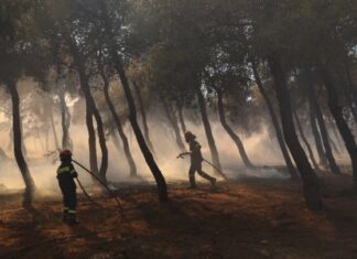 arogi.gov.gr: Παρατείνεται έως 30/9 η λειτουργία της πλατφόρμας για τους πληγέντες από τις πρόσφατες πυρκαγιές στην Αττική