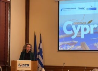 Σ. Εφραίμογλου: Υπάρχουν ευκαιρίες εμβάθυνσης της συνεργασίας μεταξύ Ελλάδας και Κύπρου