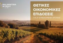 Συνεχίζει τις θετικές οικονομικές επιδόσεις η Οινοποιία Μαλαματίνα