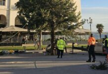 Έφτασε το χριστουγεννιάτικο δέντρο στην Αριστοτέλους – Ξεκίνησε ο στολισμός της πόλης