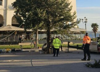 Έφτασε το χριστουγεννιάτικο δέντρο στην Αριστοτέλους – Ξεκίνησε ο στολισμός της πόλης