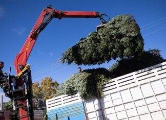 Χαλκιδική:Στα «πόστα» τους από την Παρασκευή 29/11 οι ελατοπαραγωγοί Ταξιάρχη