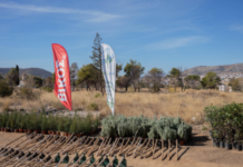 Βίκος: Εθελοντική δενδροφύτευση σε συνεργασία με τον οργανισμό We4all