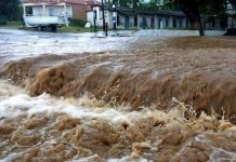 ΕΛΓΑ: Πλήρωσε 3,5 εκατ. ευρώ σε 1.637 δικαιούχους – Την Παρασκευή πιστώσεις αποζημιώσεων 1,2 εκατ. ευρώ για Daniel-Elias