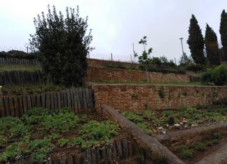 Στο μονοπάτι της θεσμοθέτησης η εκτός τόπου διατήρηση των ελληνικών αυτοφυών – Προς δημιουργία το εθνικό δίκτυο Βοτανικών Κήπων