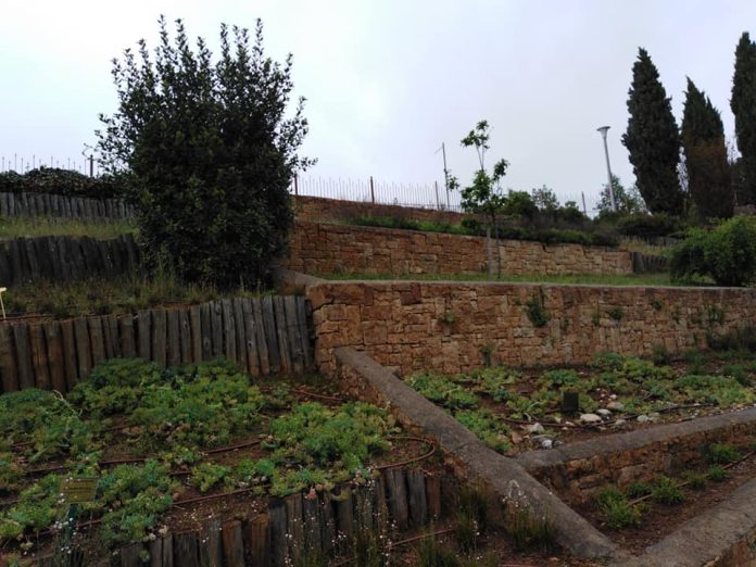 βοτανικός κήπος