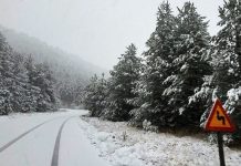 ClimateHub: Τα πιο ψυχρά και τα πιο θερμά Χριστούγεννα τα τελευταία 125 χρόνια