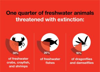 Επιστήμη- Περιβάλλον: Το ένα τέταρτο των ειδών που ζουν στο γλυκό νερό απειλείται με εξαφάνιση