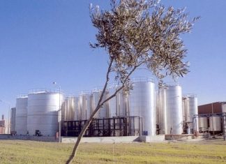 Μινέρβα: Συνεργασία με το Πολυτεχνείο Κρήτης και το Ελληνικό Μεσογειακό Πανεπιστήμιο