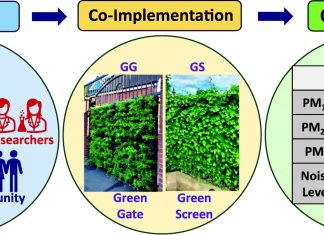 «Πράσινο σχολείο»: Μελέτη δείχνει τα σημαντικά οφέλη για την υγεία και το περιβάλλον με μόλις δύο παρεμβάσεις