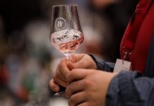 Κρασιά και αποστάγματα δοκίμασαν οι επισκέπτες της οινικής εκδήλωσης “ΒορΟινά” – «Στόχος η εκπαίδευση του καταναλωτή και του επαγγελματία»