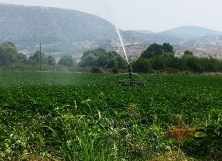 Νέα μελέτη επισημαίνει τις επιπτώσεις της κλιματικής αλλαγής στην παραγωγικότητα των εργαζομένων