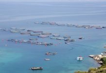 Ο Επίτροπος Αλιείας και Ωκεανών, Κ.Καδής, εγκαινιάζει πανευρωπαϊκή εκστρατεία υπέρ της υδατοκαλλιέργειας