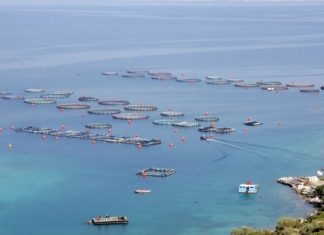 Ο Επίτροπος Αλιείας και Ωκεανών, Κ.Καδής, εγκαινιάζει πανευρωπαϊκή εκστρατεία υπέρ της υδατοκαλλιέργειας