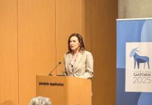 Όλγα Κεφαλογιάννη: Η Σαντορίνη επιστρέφει στην κανονικότητα