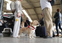 Έκτακτα δρομολόγια των ΚΤΕΛ Θεσσαλονίκης για τους εκδρομείς του Πάσχα