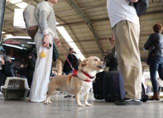 Έκτακτα δρομολόγια των ΚΤΕΛ Θεσσαλονίκης για τους εκδρομείς του Πάσχα