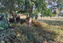 Παράταση δηλώσεων καθαρισμού οικοπεδικών και ακάλυπτων χώρων