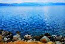 Διάκριση Ελλήνων επιστημόνων που μελετούν τις επιπτώσεις των δασικών πυρκαγιών στα θαλάσσια οικοσυστήματα (βίντεο)