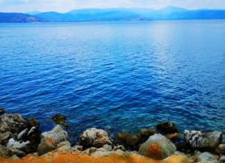 Διάκριση Ελλήνων επιστημόνων που μελετούν τις επιπτώσεις των δασικών πυρκαγιών στα θαλάσσια οικοσυστήματα (βίντεο)