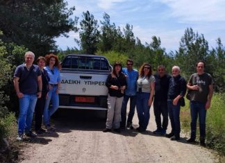 Θεσσαλονίκη: Οι δράσεις δασοπροστασίας στο Σέιχ Σου που υλοποιούνται φέτος