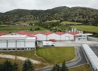 ΟΠΤΙΜΑ: Ενίσχυση μεριδίου αγοράς το 2024 και το πρώτο τρίμηνο 2025