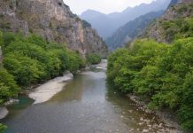 Ιωάννινα: Απειλή για τον ποταμό Αώο, η απουσία οικολογικής παροχής στο φράγμα των Πηγών, σύμφωνα με επιστημονική μελέτη