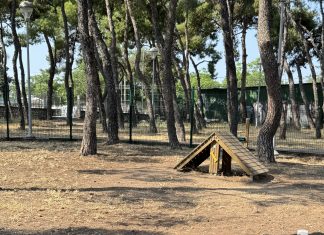 Παραδόθηκαν και τα πέντε πιστοποιημένα πάρκα σκύλων στον Δ.Θεσσαλονίκης – Βρέθηκαν οι χώροι για τα επόμενα πέντε