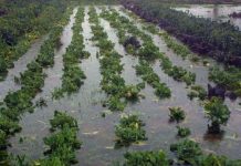 Δίχτυ προστασίας στους αγρότες από το ΥΠΑΑΤ – Ενισχύσεις και νέα εργαλεία απέναντι στην Κλιματική Κρίση