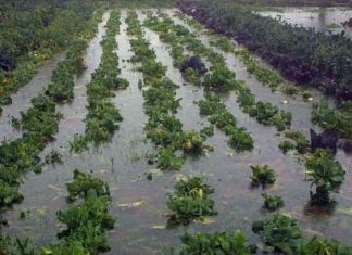 Δίχτυ προστασίας στους αγρότες από το ΥΠΑΑΤ – Ενισχύσεις και νέα εργαλεία απέναντι στην Κλιματική Κρίση