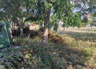 Σχεδόν 702.000 οι δηλώσεις καθαρισμών των οικοπέδων