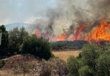 Κύπρος: Ενισχύσεις από ΕΕ-Αίγυπτο για την κατάσβεση της φωτιάς στη Λεμεσό- Ελληνική συνδρομή με 26 δασοκομάντος