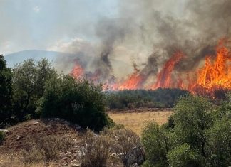 Κύπρος: Ενισχύσεις από ΕΕ-Αίγυπτο για την κατάσβεση της φωτιάς στη Λεμεσό- Ελληνική συνδρομή με 26 δασοκομάντος