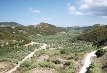 Μεσσηνία: Ιδανικός προορισμός για όλες τις εποχές του χρόνου