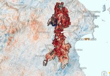 Αυξάνονται οι θερμοκρασίες εδάφους λόγω απώλειας δασικής βλάστησης – Τι κατέγραψε η μονάδα METEO