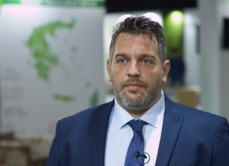 Η ψηφιακή μετάβαση δεν μπορεί να γίνει χωρίς τους μικρούς επαγγελματίες