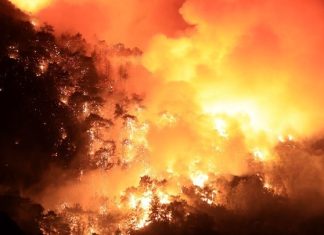 Πάνω από 23.000 στρέμματα δασικής έκτασης κάηκαν κοντά στην Ταραγόνα στην Ισπανία – «Παραμένει ενεργή» πυρκαγιά σπάνιας έντασης στη Γαλλία