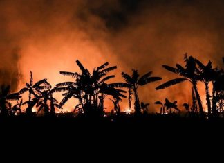 Μειώθηκε κατά 65% η επιφάνεια που κάηκε στο τροπικό δάσος του Αμαζονίου τον Ιούλιο