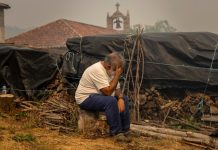 Περισσότερα από 3.430.000 στρέμματα έχουν καεί στην Ισπανία φέτος