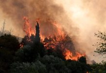 Οι δασικές πυρκαγιές επιδεινώνουν την ποιότητα του αέρα σε απόσταση χιλιάδων χιλιομέτρων