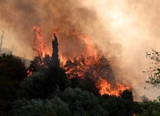 «Μάχη» με τις φλόγες: Σε εξέλιξη 109 πυρκαγιές – Άναψαν 48 νέες εστίες το τελευταίο 24ωρο, 71 διακομιδές σε νοσοκομεία