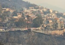 Ξεκίνησαν οι αυτοψίες στις περιοχές που επλήγησαν από τις πυρκαγιές