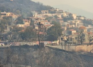 Ξεκίνησαν οι αυτοψίες στις περιοχές που επλήγησαν από τις πυρκαγιές