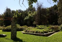 ΑΦΙΕΡΩΜΑ: Βοτανικός Κήπος Ι. & Α. Διομήδους: Ένας επίγειος παράδεισος και θύλακας φυσικής κληρονομιάς (βίντεο)