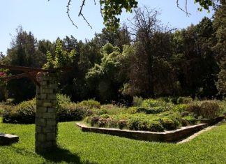 ΑΦΙΕΡΩΜΑ: Βοτανικός Κήπος Ι. & Α. Διομήδους: Ένας επίγειος παράδεισος και θύλακας φυσικής κληρονομιάς (βίντεο)