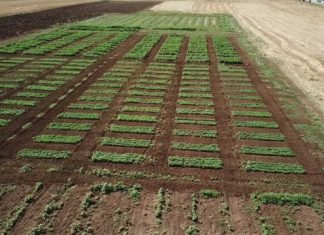 Ο ΕΛΓΟ–ΔΗΜΗΤΡΑ πρωταγωνιστεί στη νέα ευρωπαϊκή στρατηγική με όπλο την έρευνα και την παράδοση