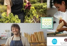 Από το χωράφι μέχρι το πιάτο: το πρώτο οικοσύστημα mentoring & εκπαίδευσης για επαγγελματίες τροφίμου