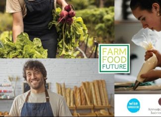 Από το χωράφι μέχρι το πιάτο: το πρώτο οικοσύστημα mentoring & εκπαίδευσης για επαγγελματίες τροφίμου