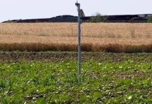 Ποια τεχνική εταιρεία «καπαρώνει» μεγάλο αρδευτικό έργο αξίας 52 εκατ. ευρώ στη Μεσσηνία